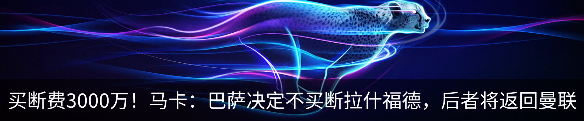最新动态